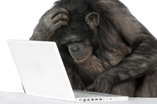 Should I Upgrade My DMS? A Luddite’s Perspective.